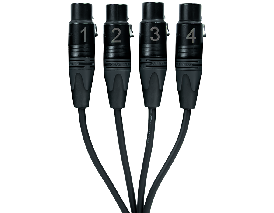 CTFX4