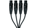 CTFX4