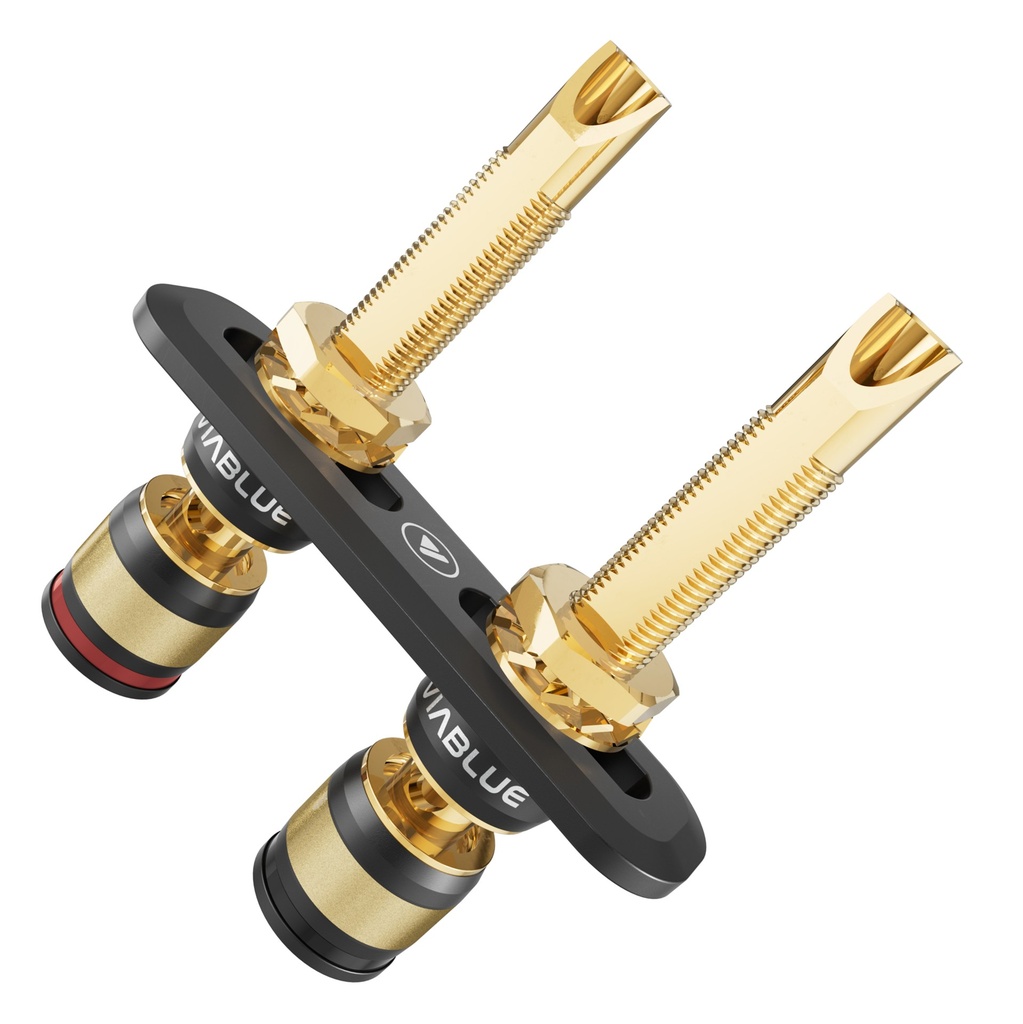 2 T8-BINDING-POSTS-UNSCREWED-FOR-SPEAKER-TERMINALS-VIABLUE