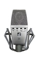 T2 Stereo Pair